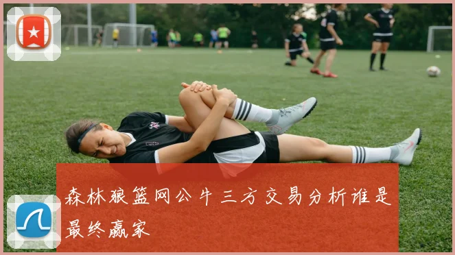 森林狼篮网公牛三方交易分析谁是最终赢家