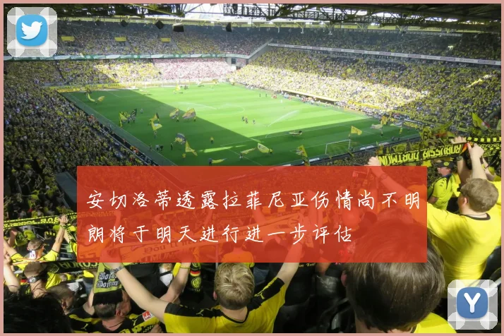 安切洛蒂透露拉菲尼亚伤情尚不明朗将于明天进行进一步评估